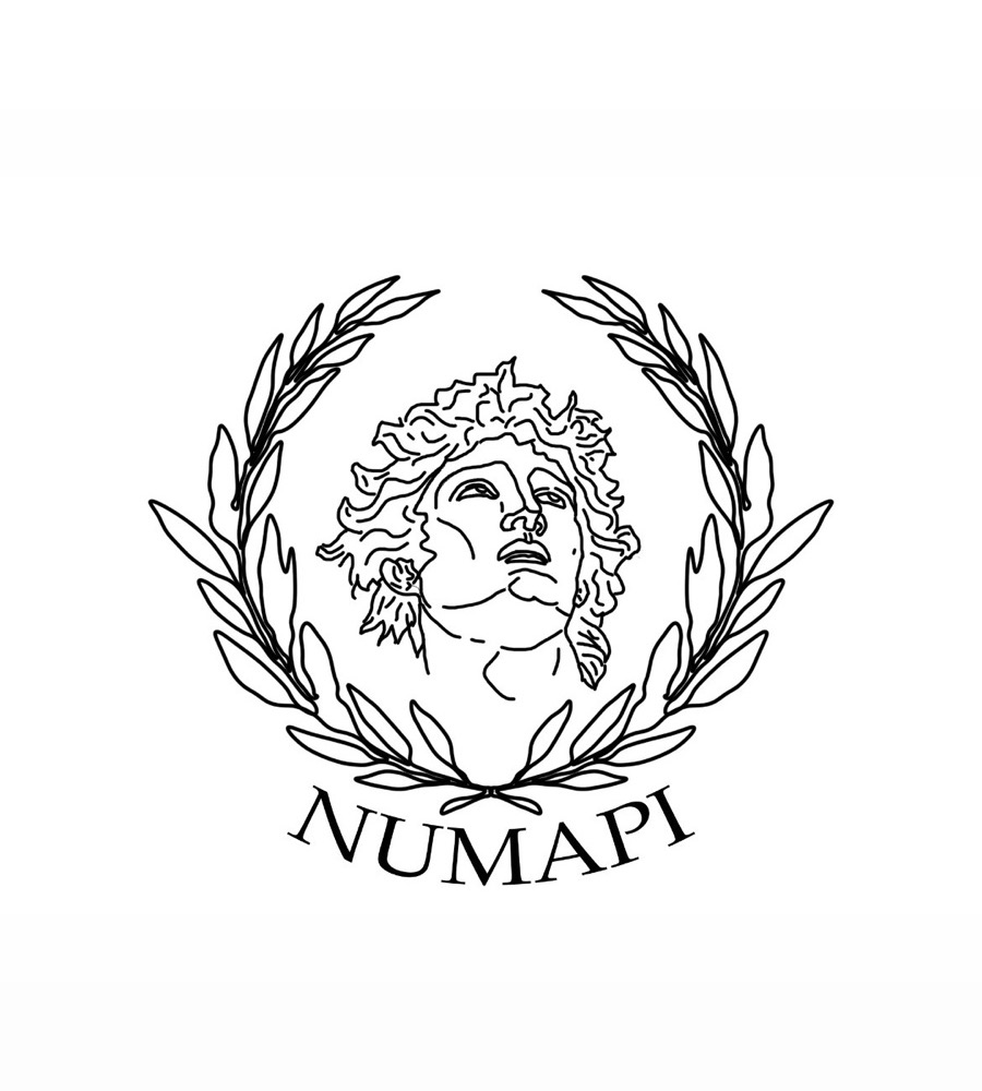 Logo NUMAPI : buste antique entouré d'une couronne de laurier